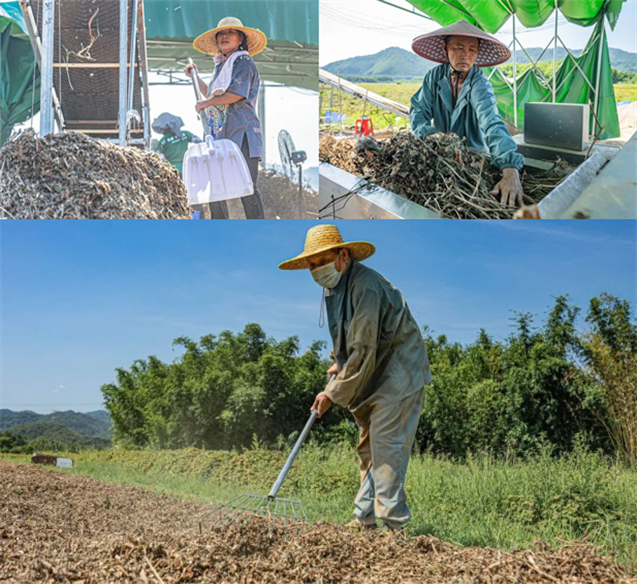 1724382000405070169.jpg 8.jpg