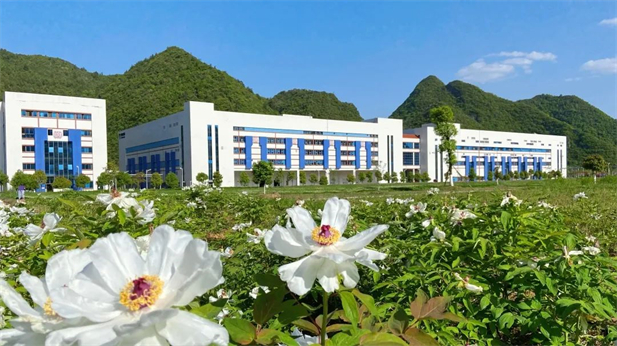 1733365419673074602.jpg 3.jpg