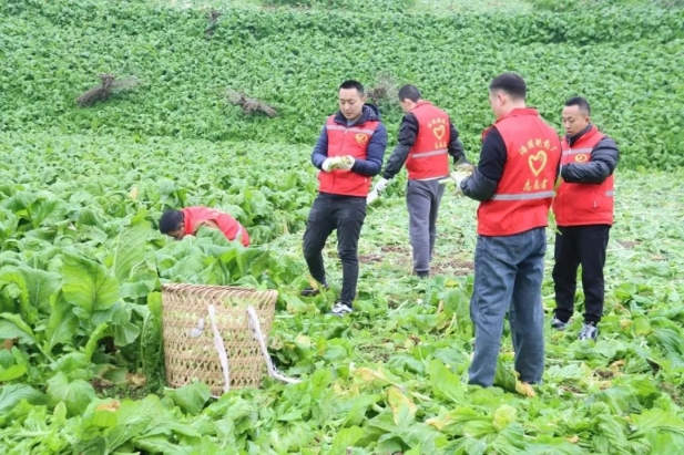 1741330723469000792.jpg 3_副本.jpg