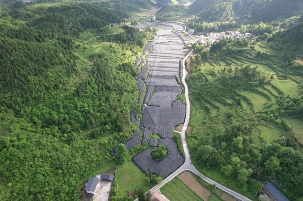 1743489883992013515.jpg 1.jpg